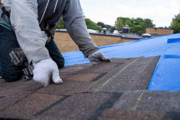 Best Rubber Roofing (EPDM, TPO)  in Crystal Falls, MI