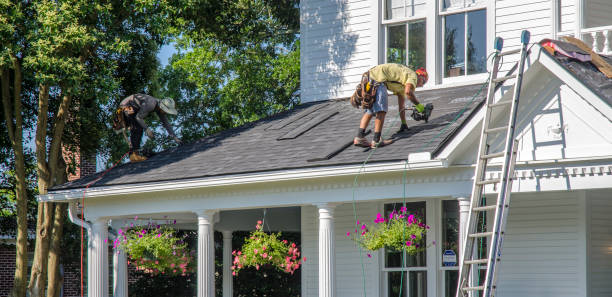 Best Roof Insulation Installation  in Crystal Falls, MI